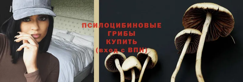 Галлюциногенные грибы MAGIC MUSHROOMS  купить наркоту  Шелехов 